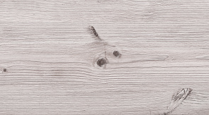 Бискайская сосна