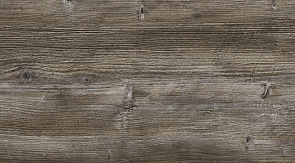 Сосна Пондероса