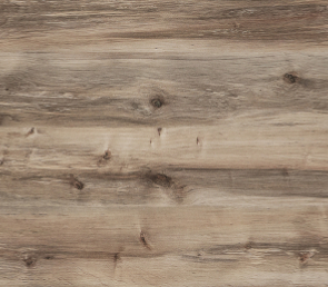 Береза Сандал