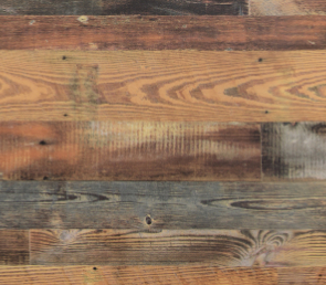 Сосна Бурбон