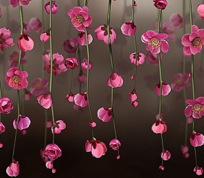 Фартук для кухни «Висящие сады»