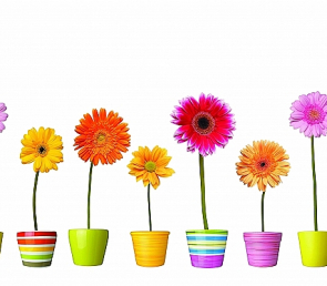 Фартук для кухни «Герберы»