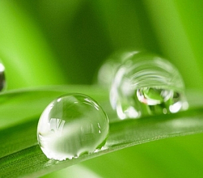 Фартук для кухни «Капли росы»