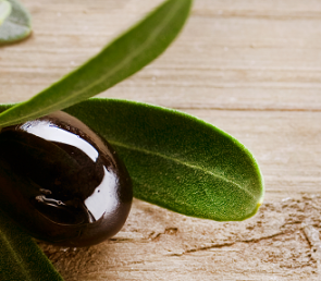 Msk Веточка оливы