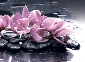 Msk Орхидеи на камнях